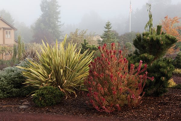 Winter Gardening: Learning to be Patient